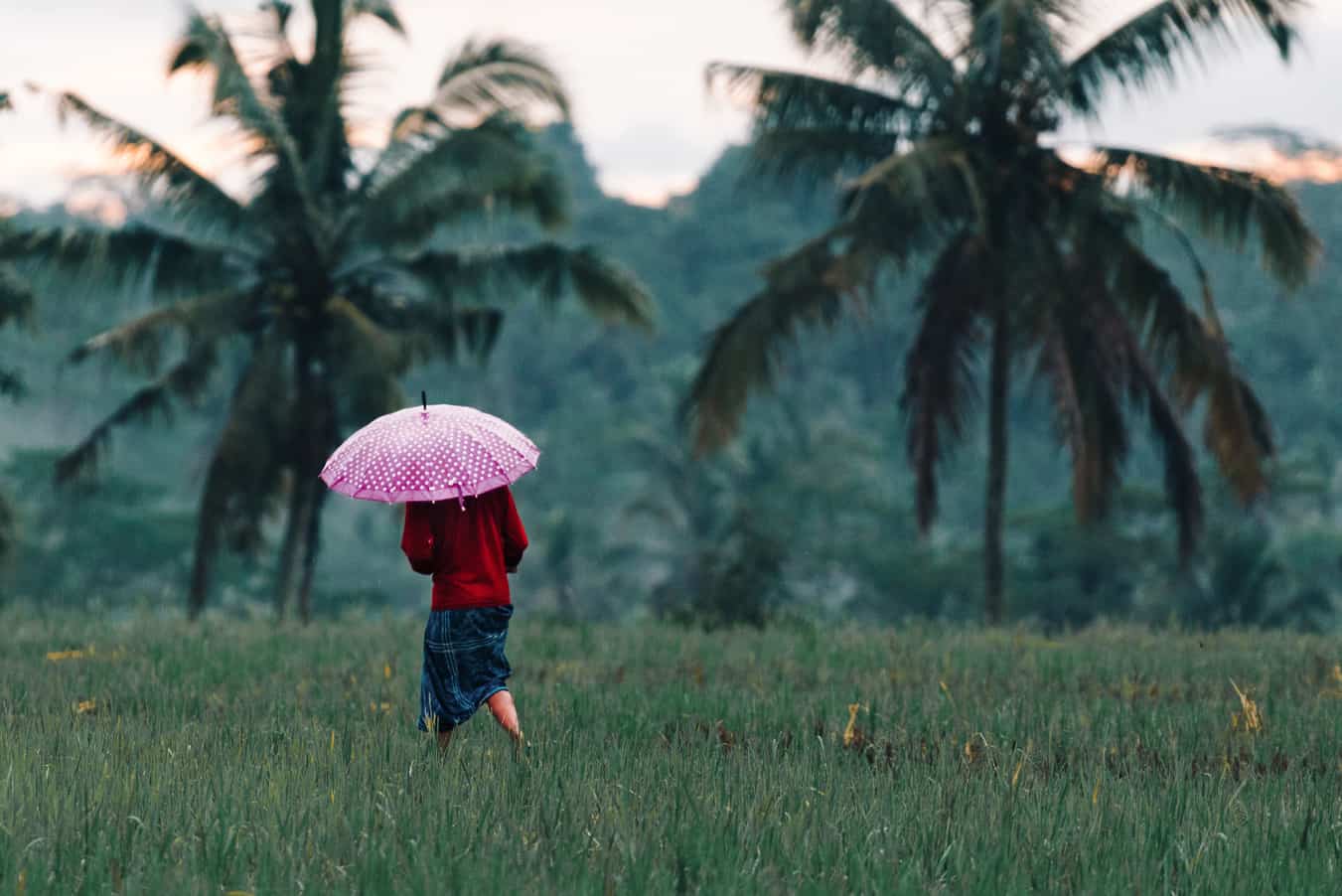 _DSC2410-Web 1920×1280-2