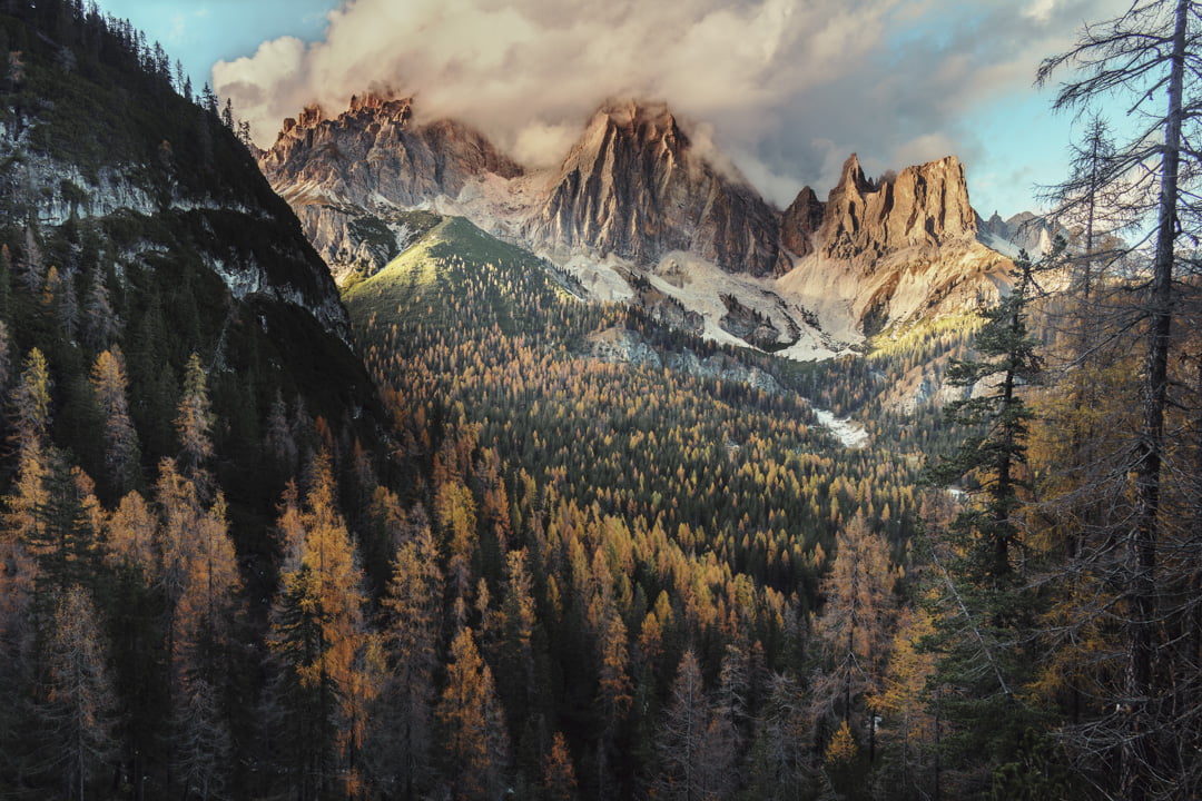 _DSC3912-NEF_DxO_DeepPRIME